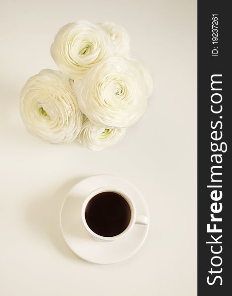 White ranunculus and cup of coffee. White ranunculus and cup of coffee
