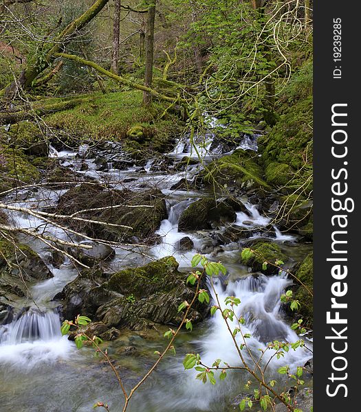 A stream and the surroundings of Ambleside, the lake district