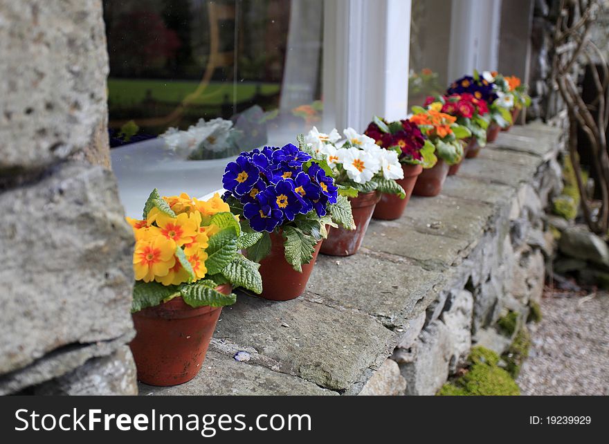 A shot of a row of flower pots on a windowsill