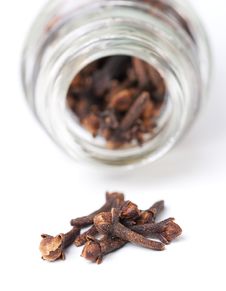 Cloves Stock Photography