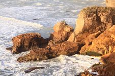Canyon At West Coast New Zealand Royalty Free Stock Image Canyon At West Coast New Zealand Royalty Free Stock Image