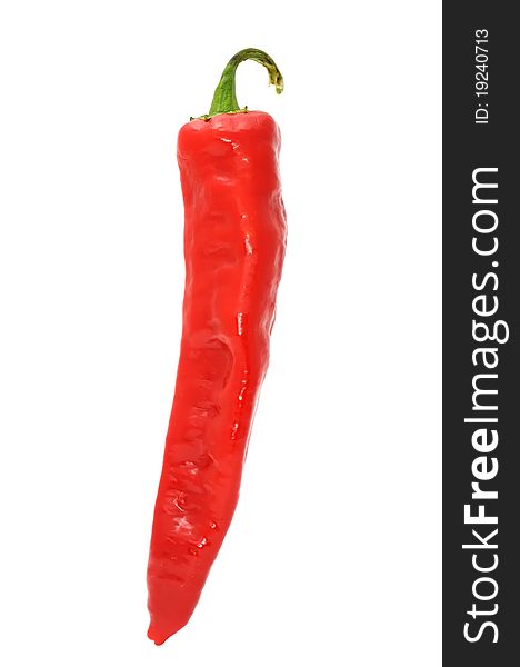 Chili Pepper Isolated on White Background