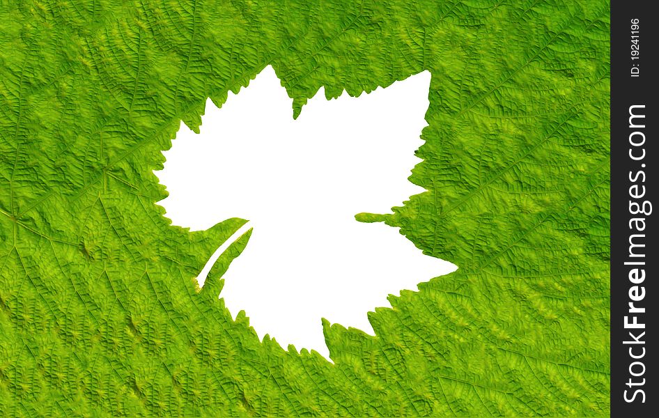 Green Leaf Background Texture, Macro