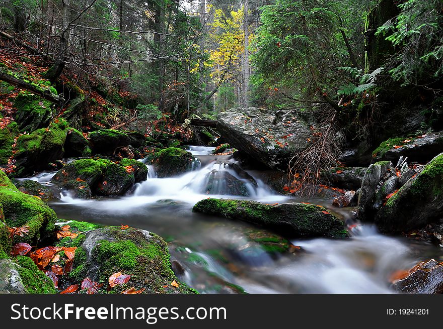 Wild River in the middle of a forest of Sumava