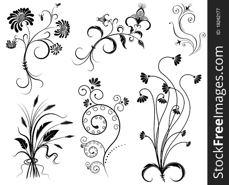 Vector floral decoration on white.