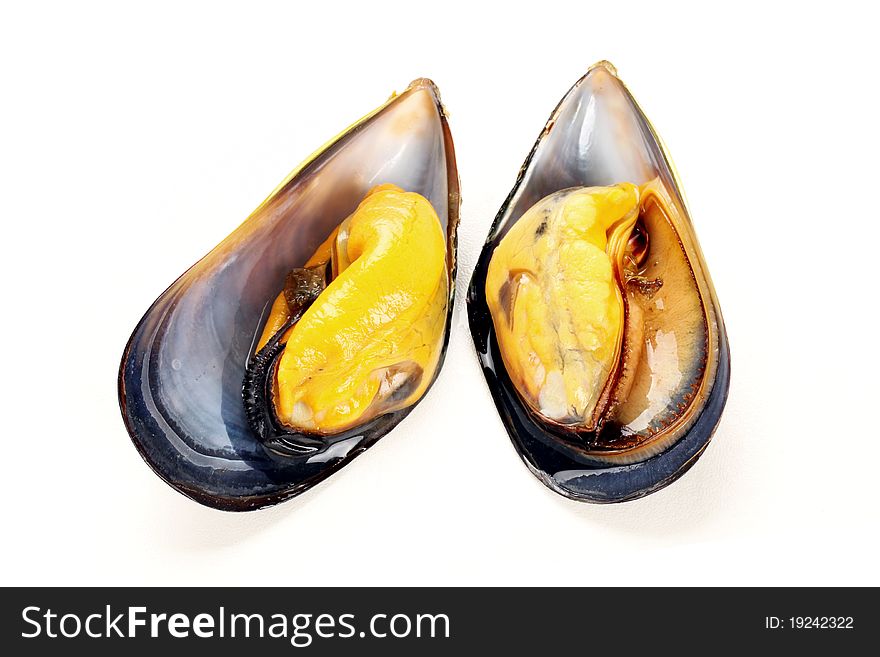 Fresh mussel isolated on white background.