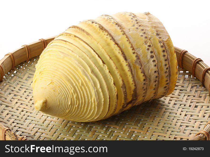 Bamboo shoots isolated on white background.