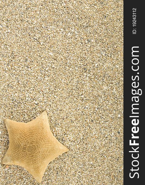 Starfish lying on the sea sand. Background. Starfish lying on the sea sand. Background