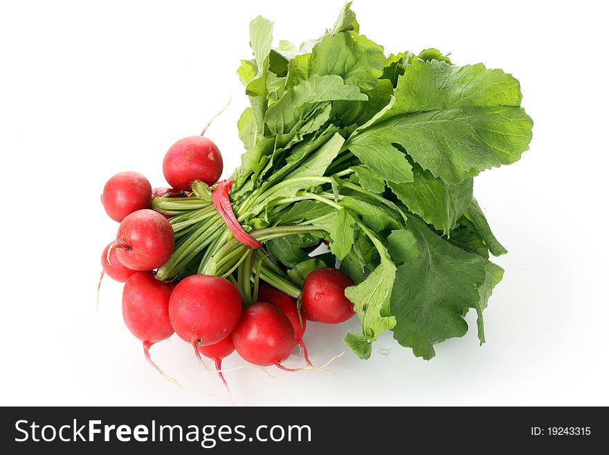 Fresh radishes isolated on white background