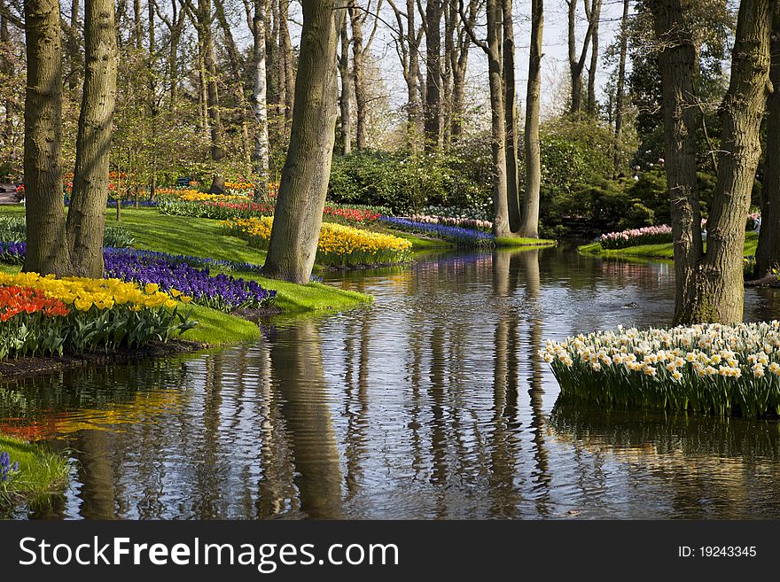 Flowers In A Dutch Park