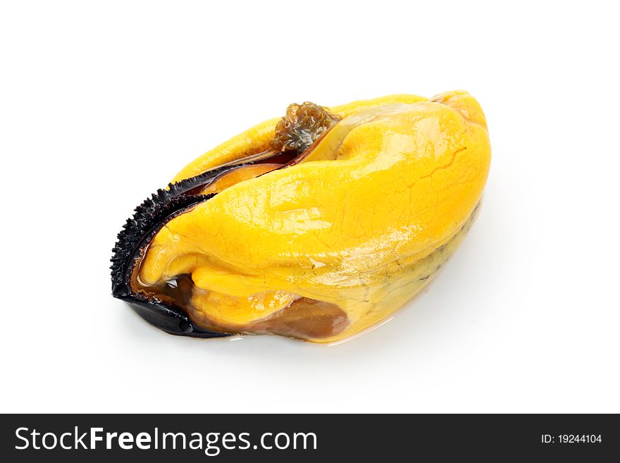 Cooked mussels on white background.