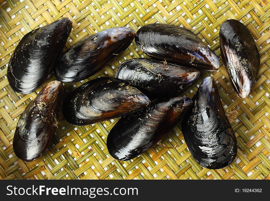 Fresh mussel In the market