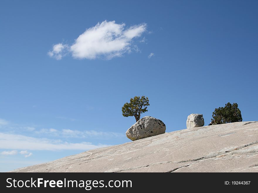 Lonely tree and stone at olmsted point in yosemite national park. Lonely tree and stone at olmsted point in yosemite national park
