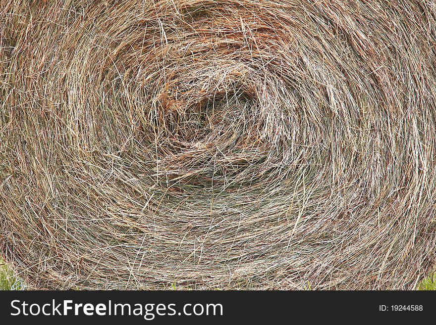 Dry round bale grass