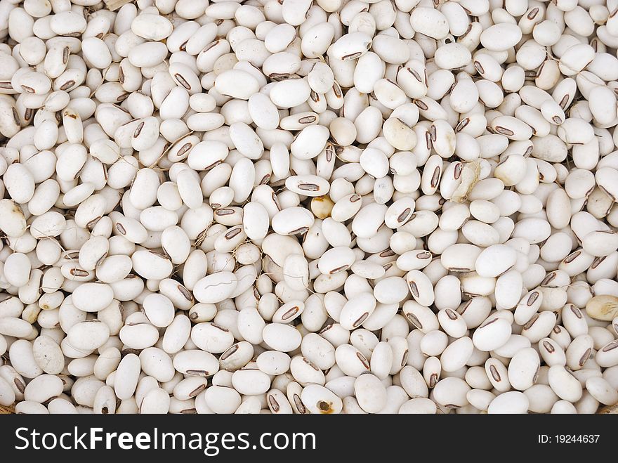 White beans isolated for background