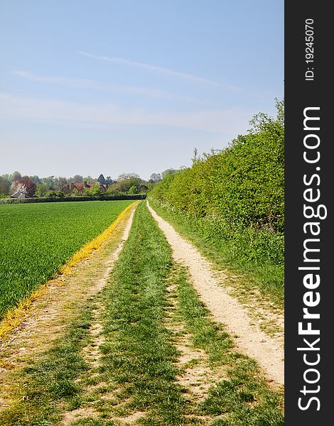 An English Rural Landscape with track through a crop field
