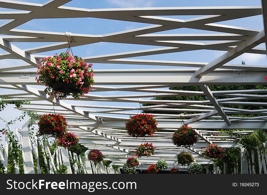 Frame roof of wood pavilion is photographed from below. It is decorated with hanging flowerpots of flowering petunia. Frame roof of wood pavilion is photographed from below. It is decorated with hanging flowerpots of flowering petunia.