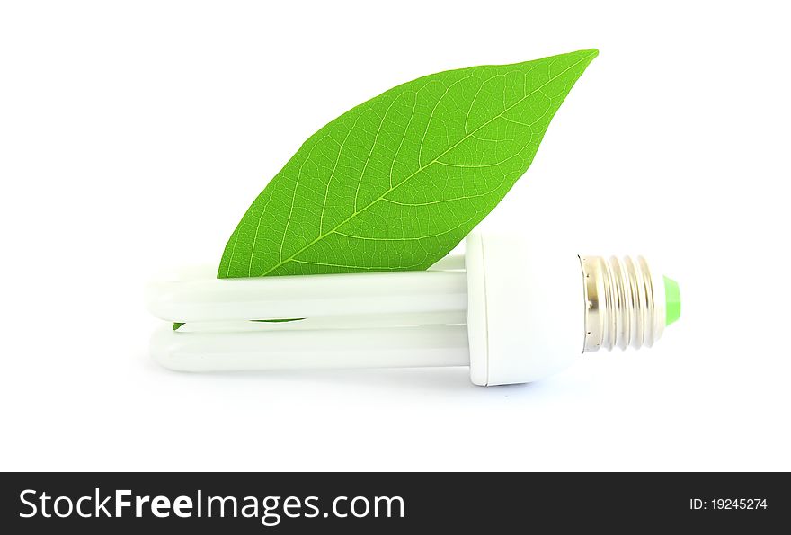 Energy saving lamp with green leaf on white
