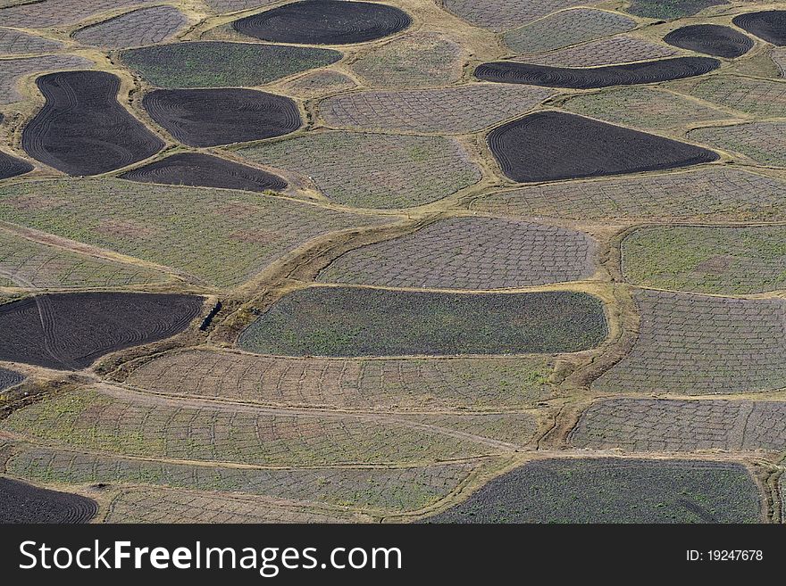 Terraced fields in mountain areas