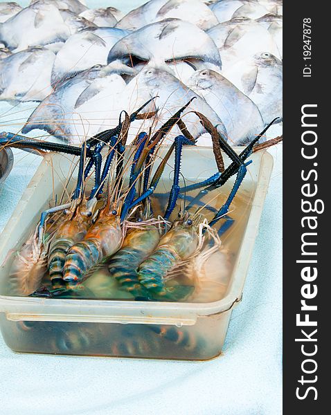 A display of fresh water prawn and white pomfret in a wet market. A display of fresh water prawn and white pomfret in a wet market