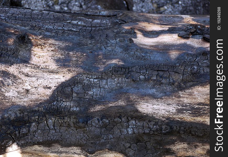 A burned log lying on the ground. A burned log lying on the ground.