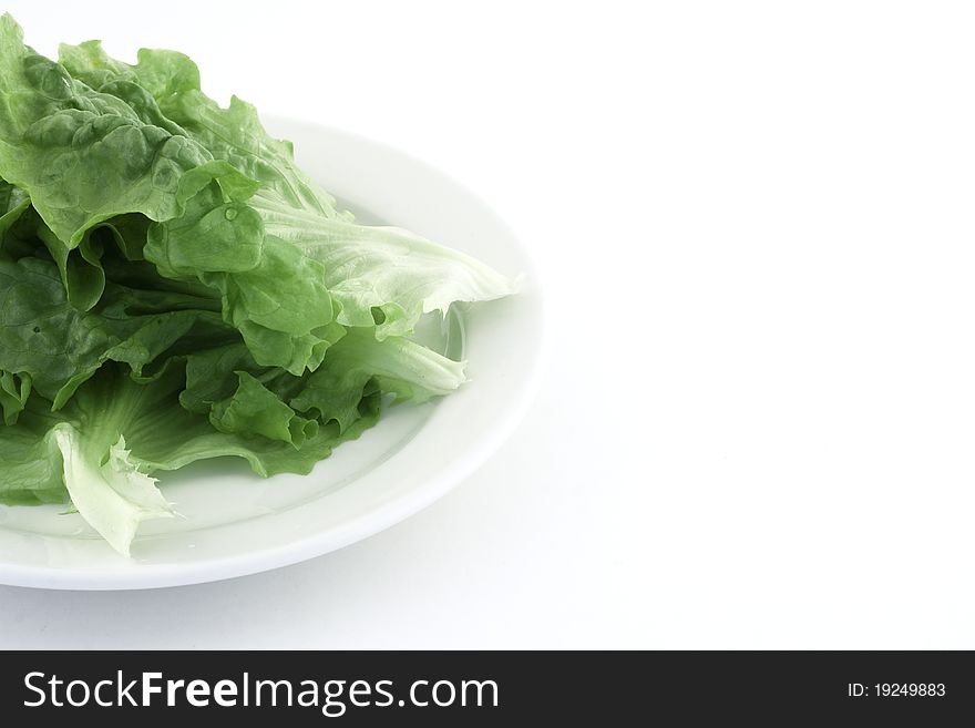 Fresh green lettuce on white backgroud