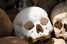 White Skull From A Grave Of Khmer Rouge Victims Royalty Free Stock Images White Skull From A Grave Of Khmer Rouge Victims Royalty Free Stock Images