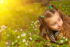 Girl In Flowers Royalty Free Stock Image Girl In Flowers Royalty Free Stock Image