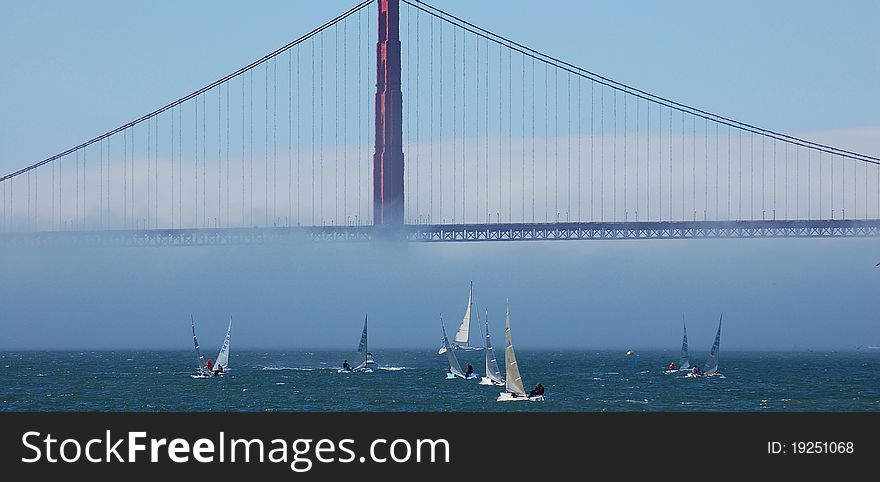 Windsurfers enjoy an afternoon under the bridge as the fog dissipates. Windsurfers enjoy an afternoon under the bridge as the fog dissipates.