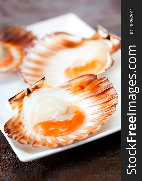 Fresh scallops in shells.  Soft focus.