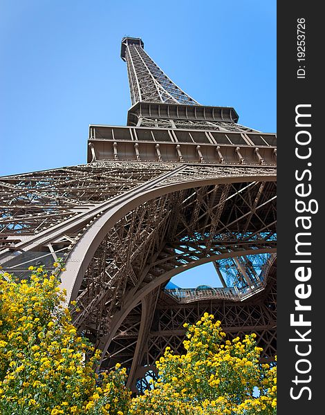 Perspective of the Eiffel tower with blossom and nice blue sky