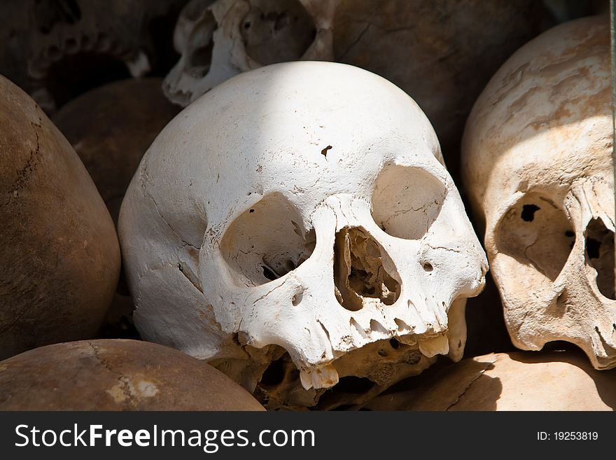 White skull from a grave of Khmer Rouge victims
