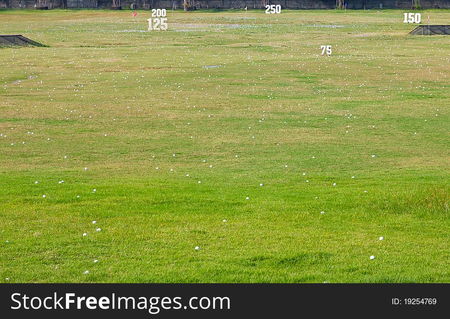 Golf ball on the fresh green grass in golf course