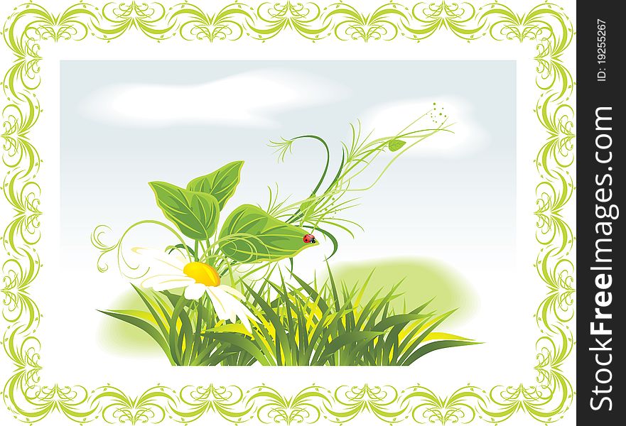 Chamomile and ladybird among grass in the decorative frame. Illustration. Chamomile and ladybird among grass in the decorative frame. Illustration