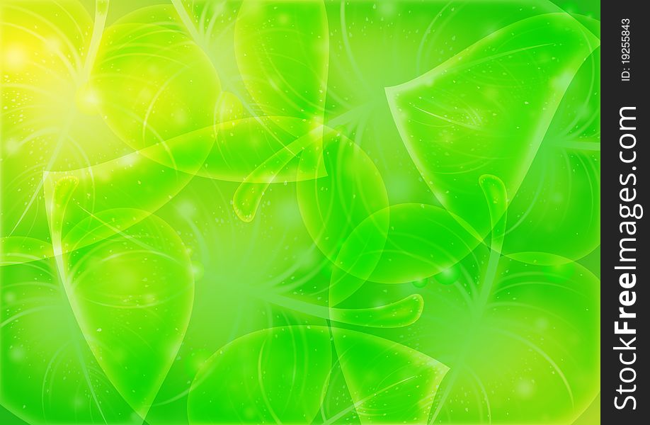 Abstraction-leaf-background  10 Eps