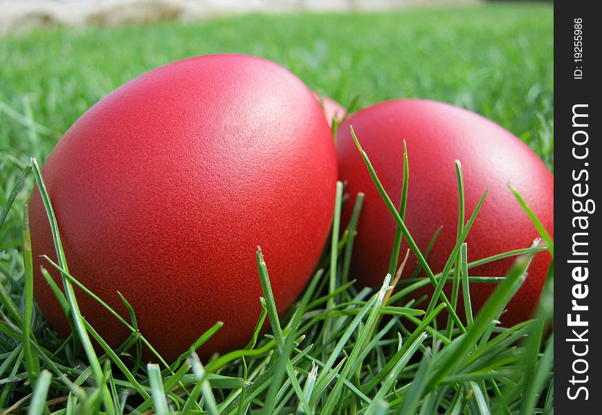 Red Easter eggs in a grass background. Red Easter eggs in a grass background