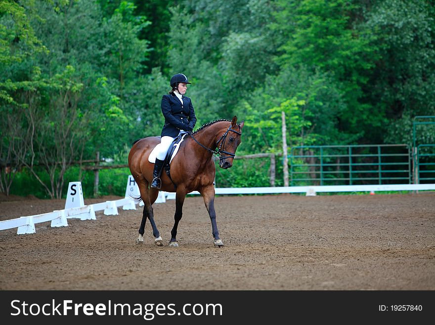 A young equestrian girl during a dressage test on a Quarter horse. A young equestrian girl during a dressage test on a Quarter horse