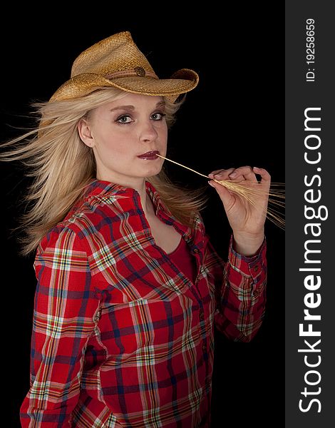 A young cowgirl in her plaid shirt chewing on a piece of wheat. A young cowgirl in her plaid shirt chewing on a piece of wheat.