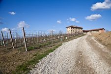Italian Villa With Vineyard: Spring Season Royalty Free Stock Photos Italian Villa With Vineyard: Spring Season Royalty Free Stock Photos