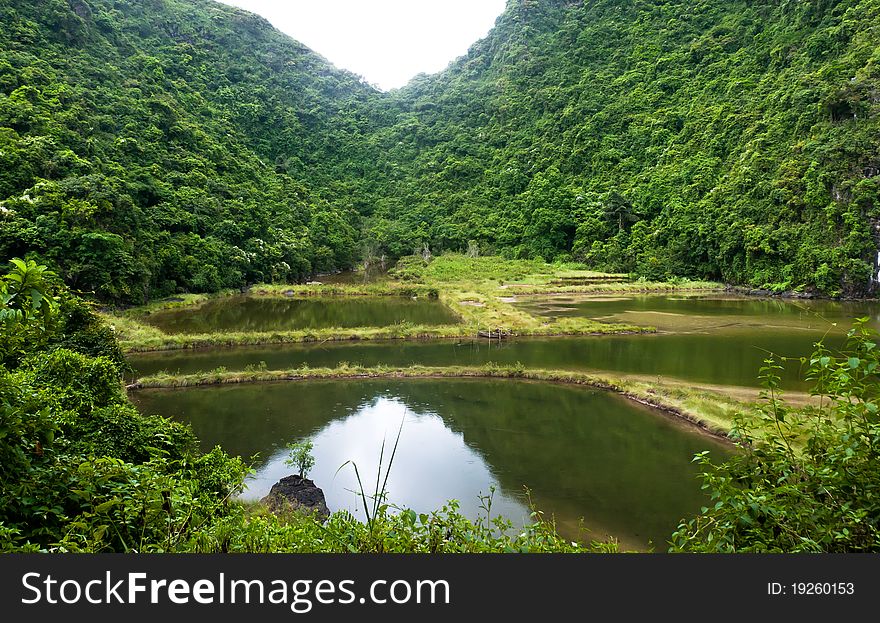 Cat ba island lake in halong bay vietnam. Cat ba island lake in halong bay vietnam