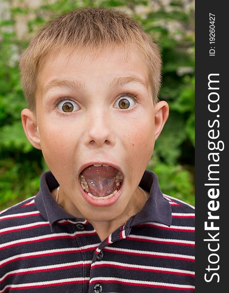 Portret of little surprised boy near flowers outdoors. Portret of little surprised boy near flowers outdoors