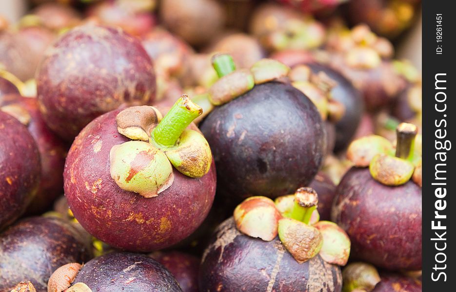 Tropical Fruit,Mangosteen,Queen of fruit in Thailand