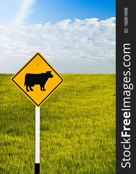 Cow signboard in rice field