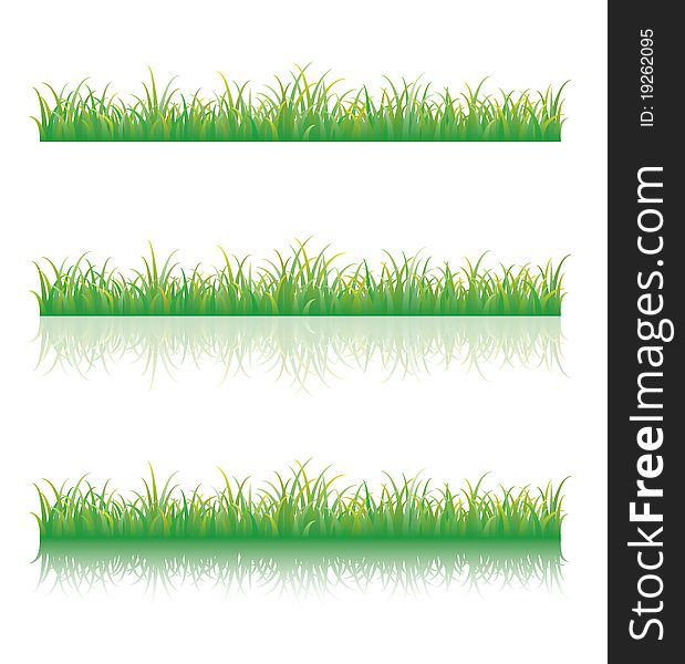 Green grass isolated on white