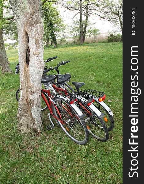 Closeup of bicycles in countryside. Closeup of bicycles in countryside