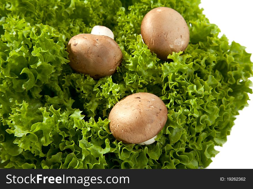 Three small Mushrooms in a green salad. Three small Mushrooms in a green salad.