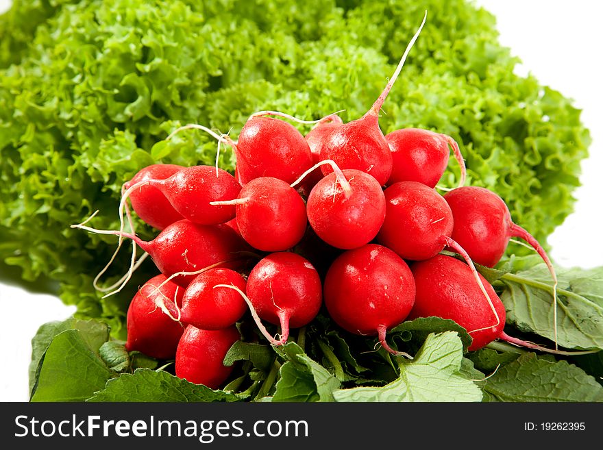 A bunch of radish with a green salad in the background