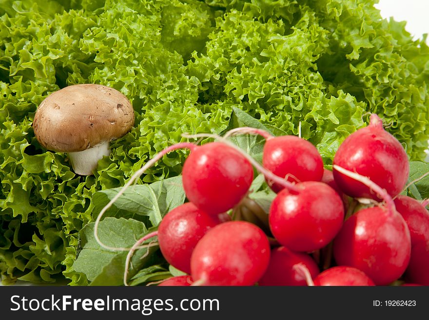 A mushroom within a salad with a bunch of radish in the foreground. A mushroom within a salad with a bunch of radish in the foreground.