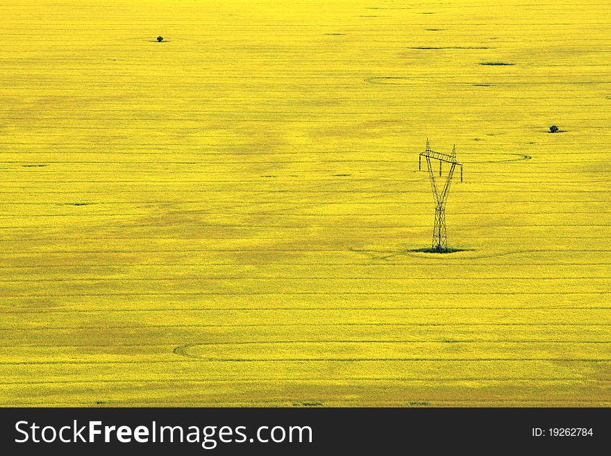 Field of with power pole. Field of with power pole