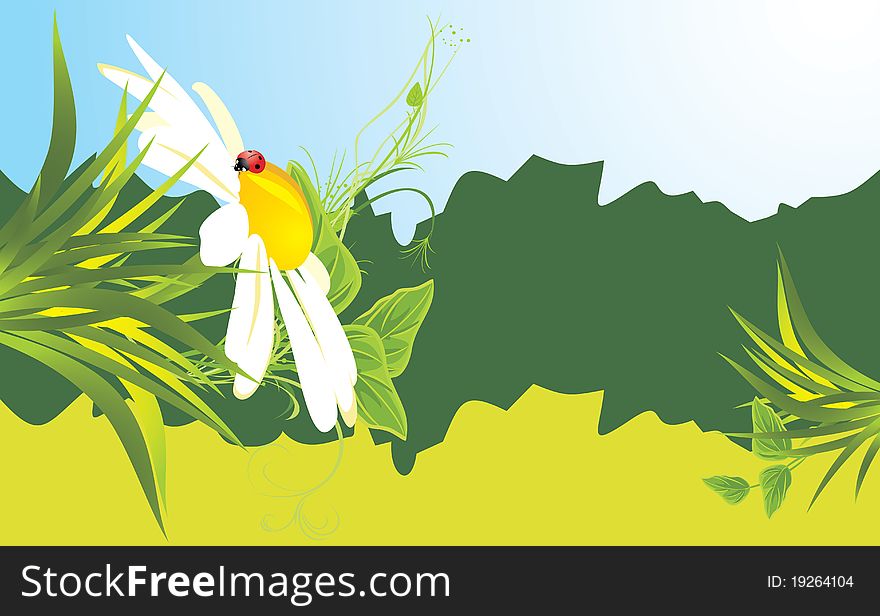 Chamomile and ladybird among grass. Banner. Illustration